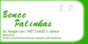 bence palinkas business card